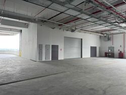Ct Foodnex (D25), Factory #472254331